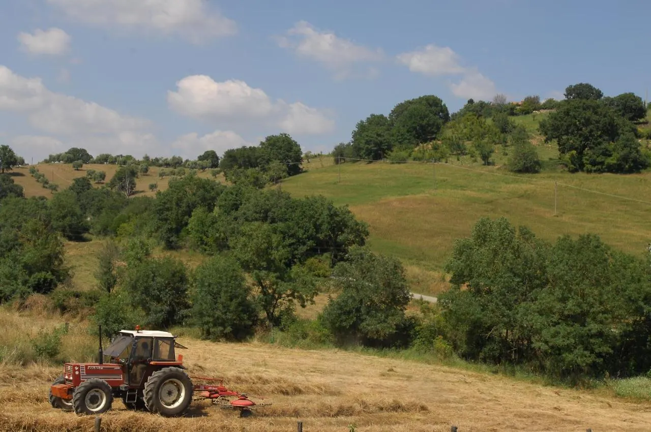 Affittacamere Borgo Fontale Hotel Magliano in Toscana