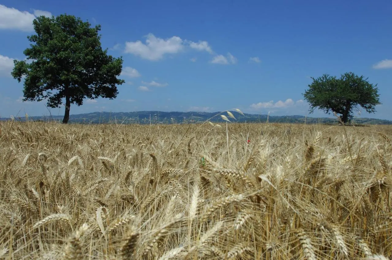Guest house Borgo Fontale Hotel Magliano in Toscana